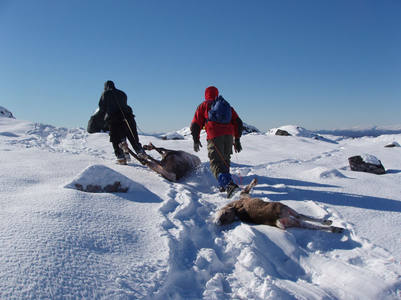 2005-09-24_rensdyrjagt_anja_soeren_jesper_carlo_henrik_qussuk_008