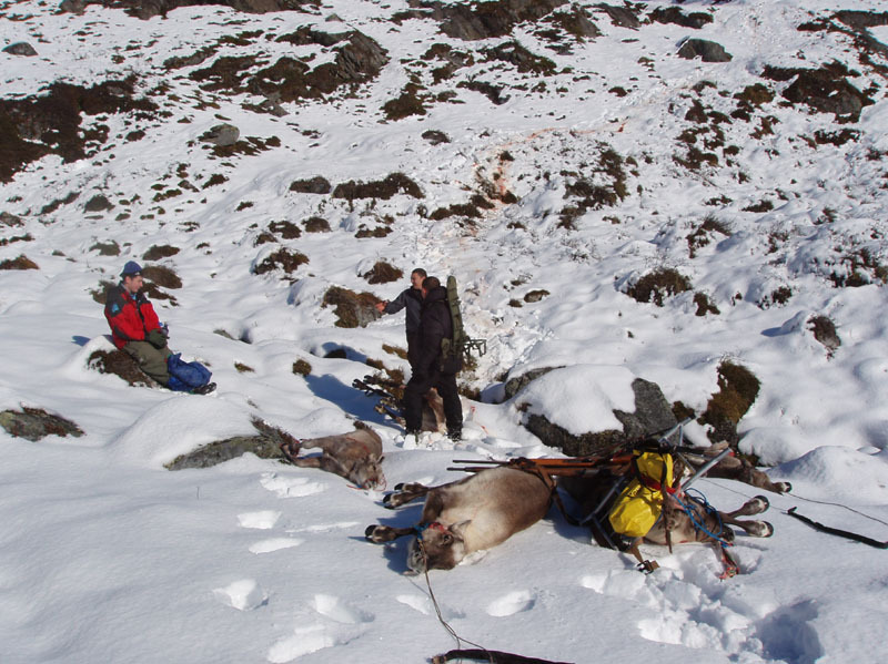 2005-09-24_rensdyrjagt_anja_soeren_jesper_carlo_henrik_qussuk_010