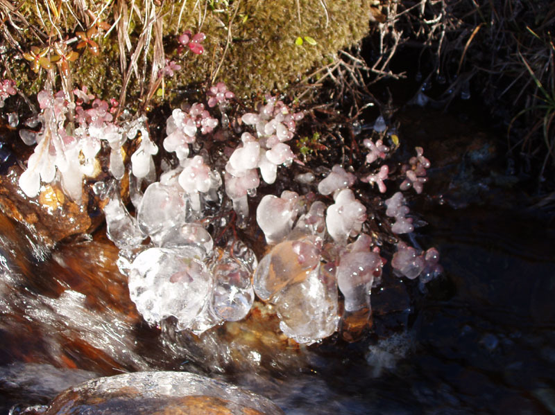 2005-09-24_rensdyrjagt_anja_soeren_jesper_carlo_henrik_qussuk_037