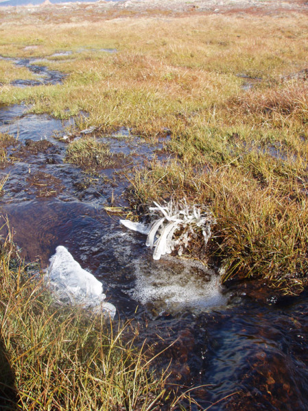2005-09-08_moskusjagt_038