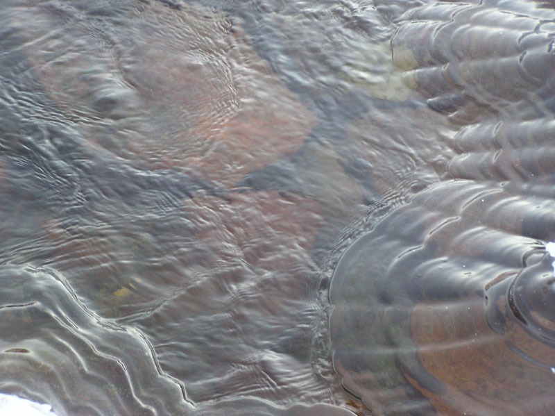 2005-10-21-22-23_rensdyrjagt_barn_john_suulut_018