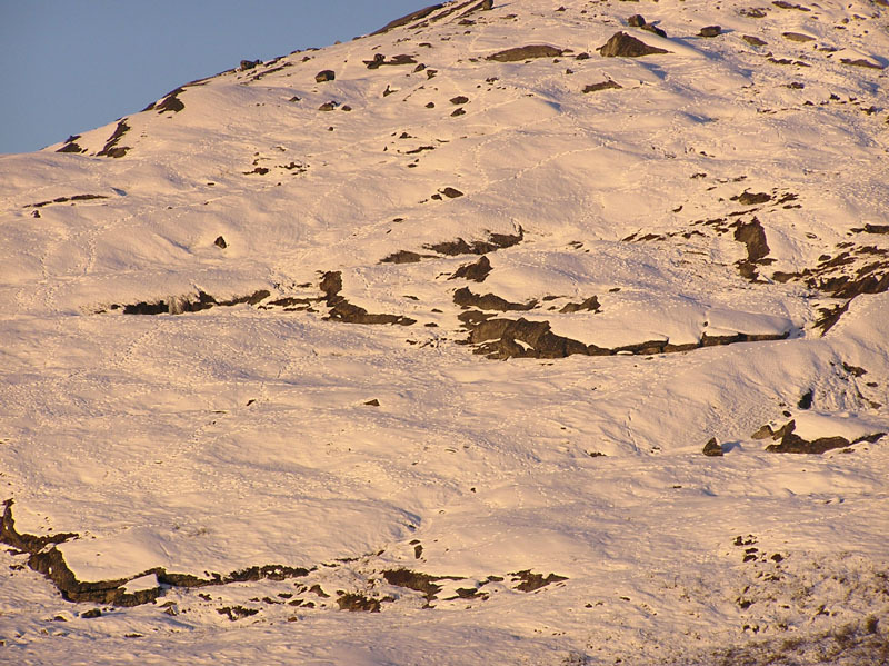 2005-10-21-22-23_rensdyrjagt_barn_john_suulut_024