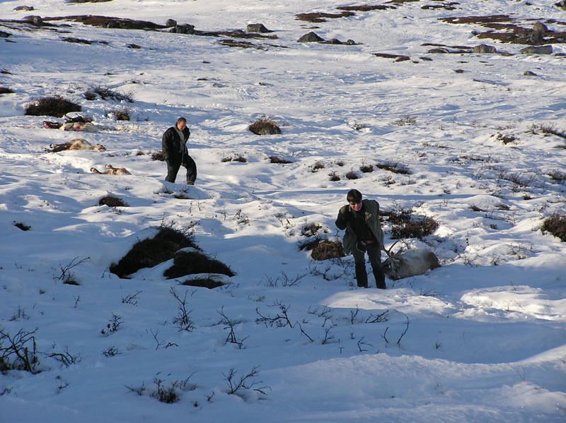 2005-10-21-22-23_rensdyrjagt_barn_john_suulut_055