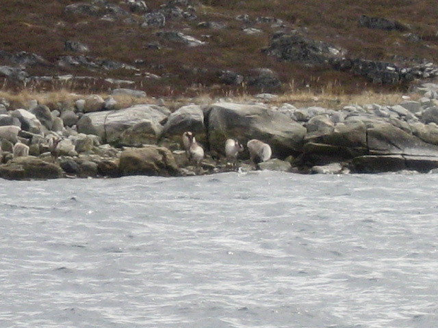 2006-06-04-05_martins_foedselsdag_sejltur_017