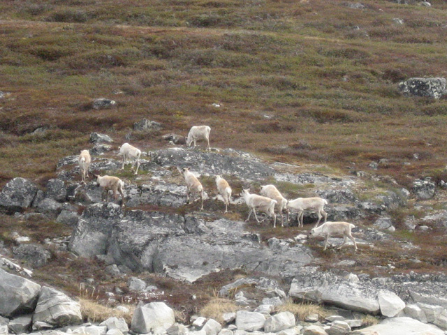 2006-06-04-05_martins_foedselsdag_sejltur_029