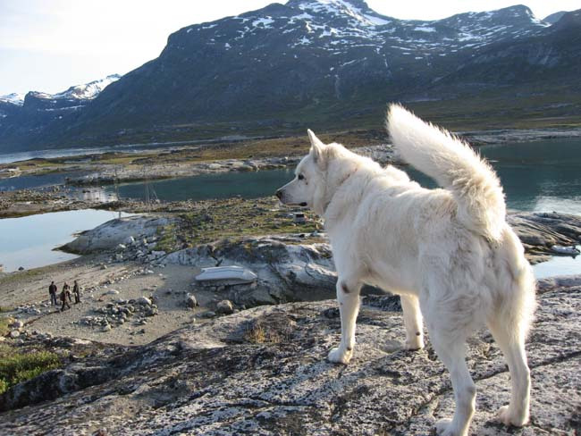 2006-06-30_Borgmestervalg_qoornoq_114