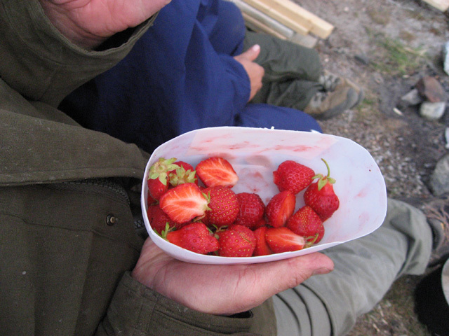 2006-07-07_foedselsdagsfest_qorqut_094