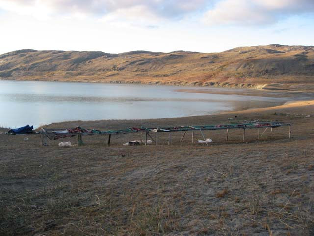 2006-08-31_moskusjagt_186