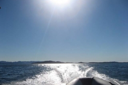 2006-08-31_moskusjagt_012