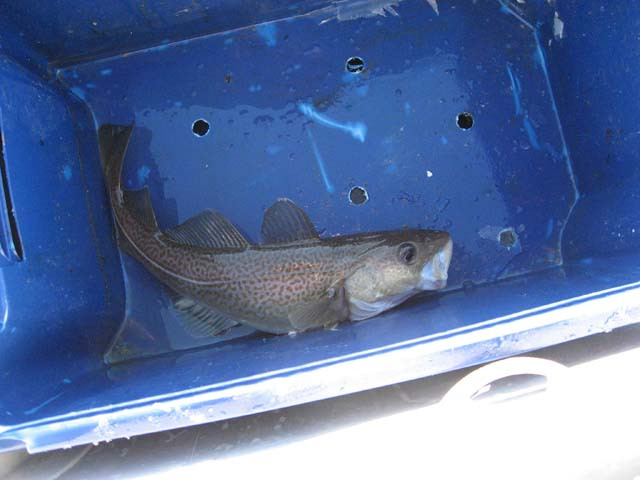 2006-10-21_maren_soeren_fisketur_002