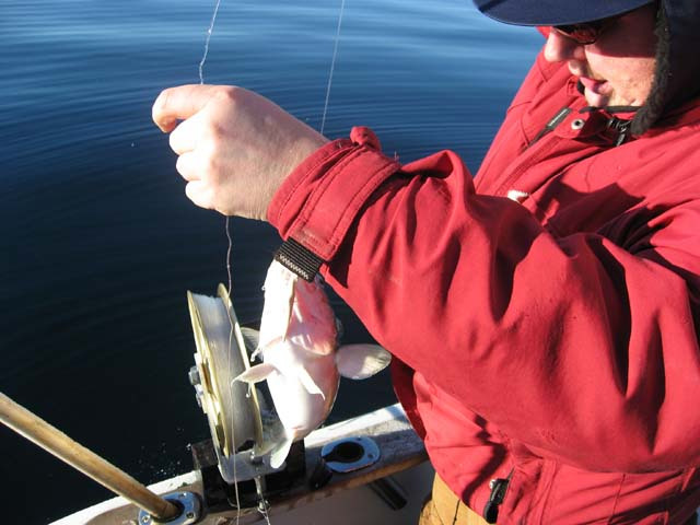 2006-10-21_maren_soeren_fisketur_005