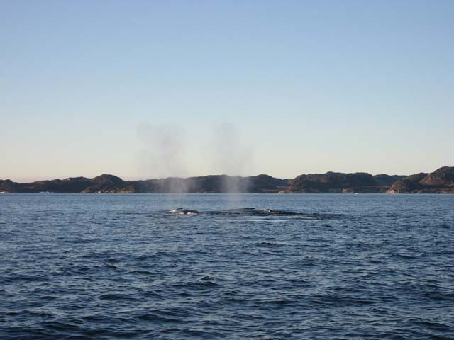 2006-10-21_maren_soeren_fisketur_019