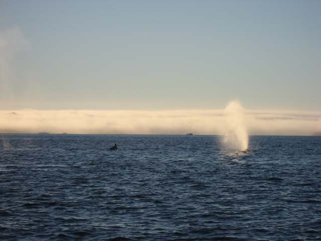 2006-10-21_maren_soeren_fisketur_023