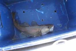 2006-10-21_maren_soeren_fisketur_002