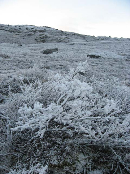 2006-10-25_alu_soeren_jagt_019