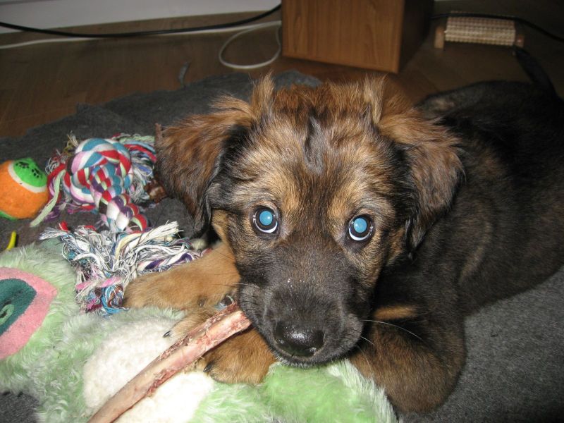 Djanco - ude og inde