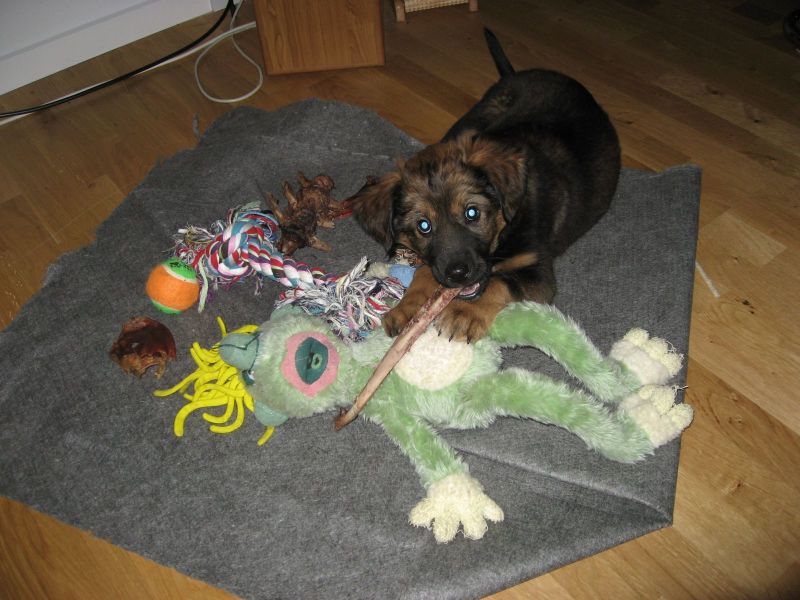 Djanco - ude og inde