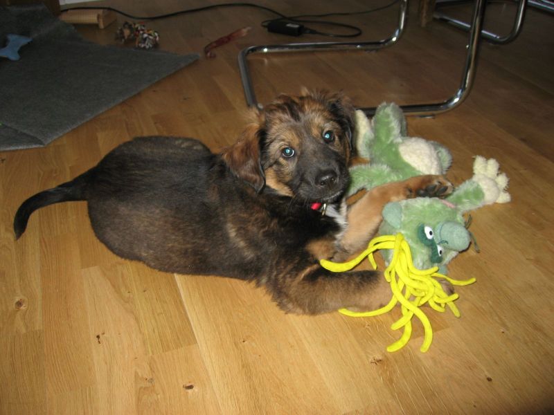 Djanco - ude og inde