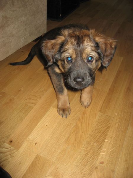 Djanco - ude og inde