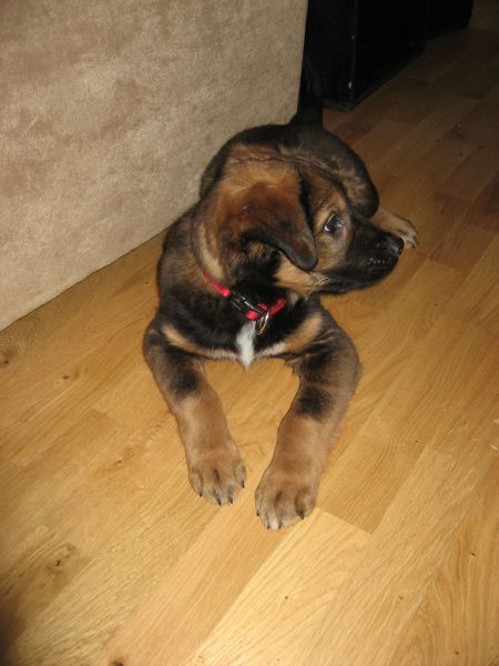 Djanco - ude og inde