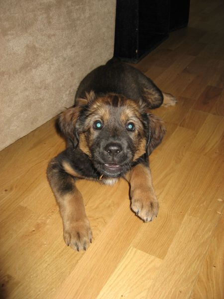 Djanco - ude og inde