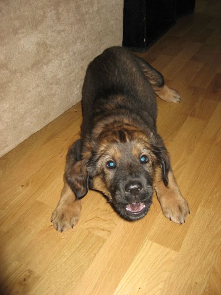 Djanco - ude og inde