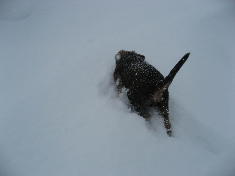 Djanco - ude og inde