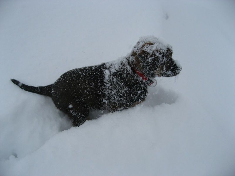 Djanco - ude og inde