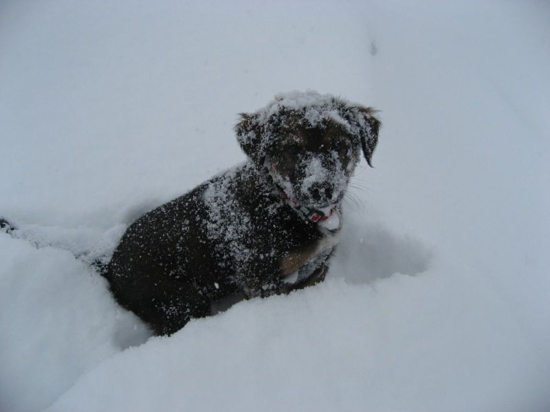 Djanco - ude og inde