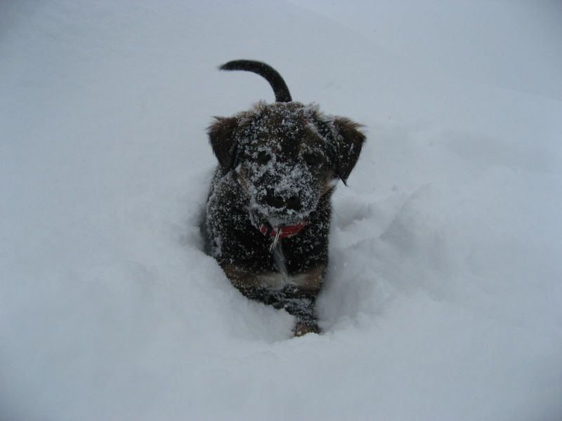 Djanco - ude og inde