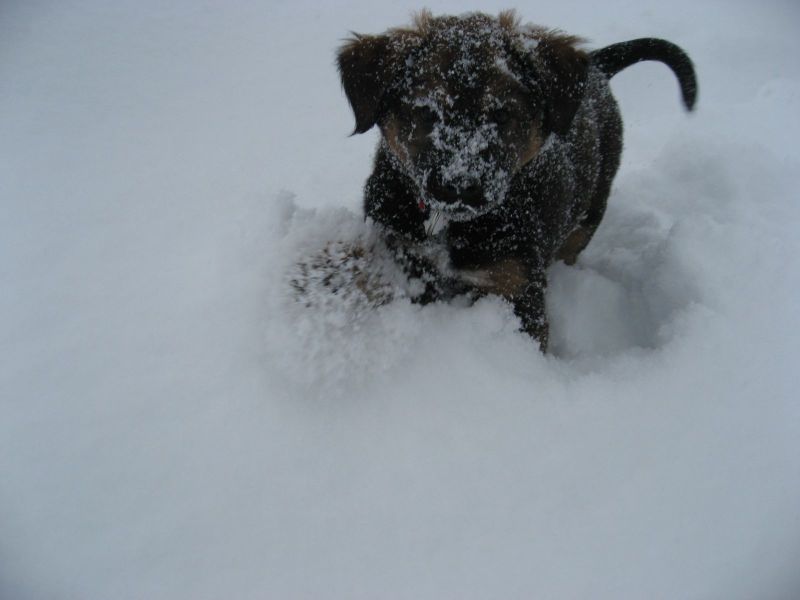 Djanco - ude og inde