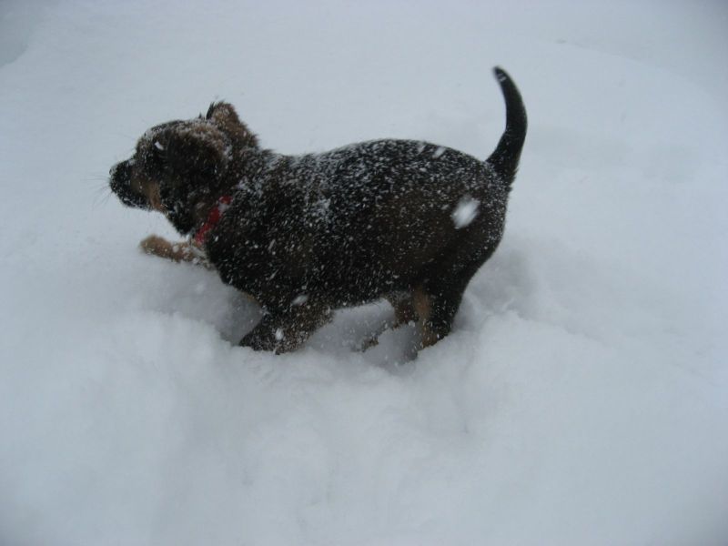 Djanco - ude og inde