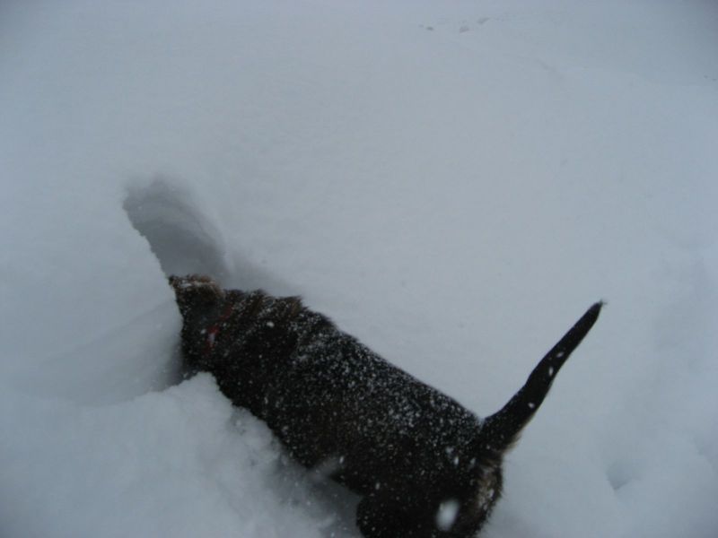 Djanco - ude og inde