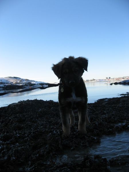 Djanco - ude og inde