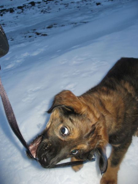 Djanco - ude og inde