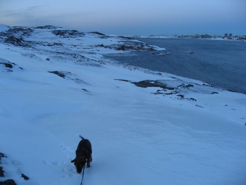 Djanco - ude og inde