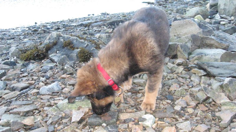 Djanco - ude og inde