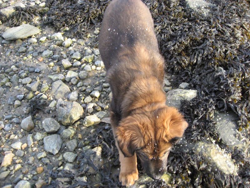 Djanco - ude og inde