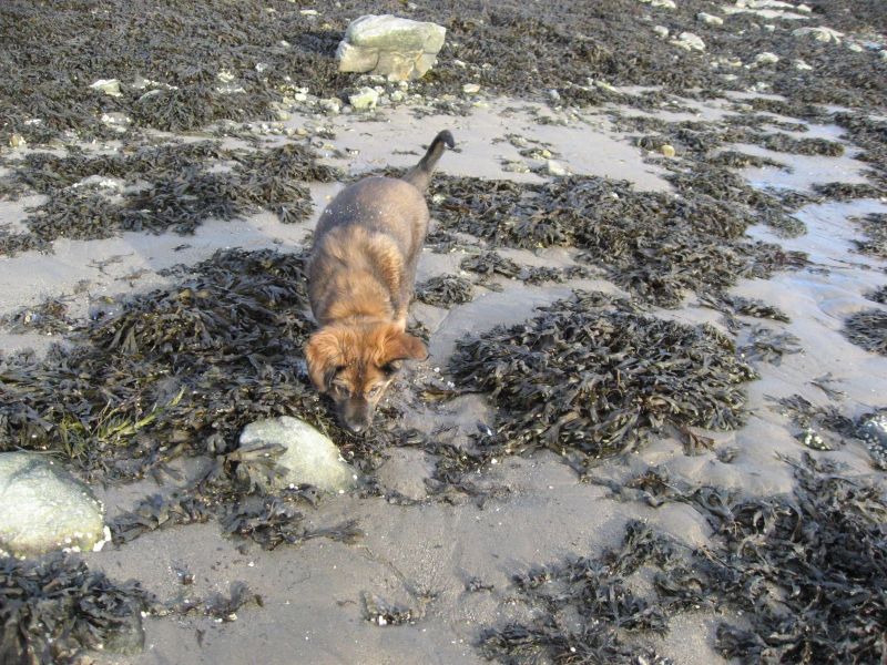 Djanco - ude og inde