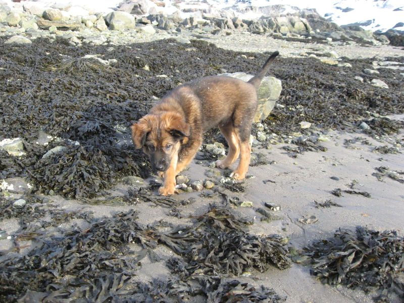 Djanco - ude og inde