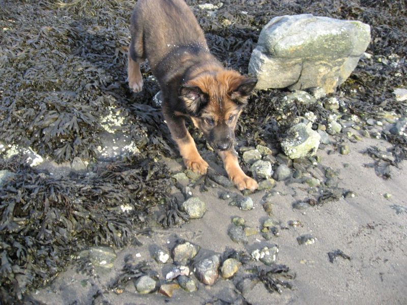 Djanco - ude og inde