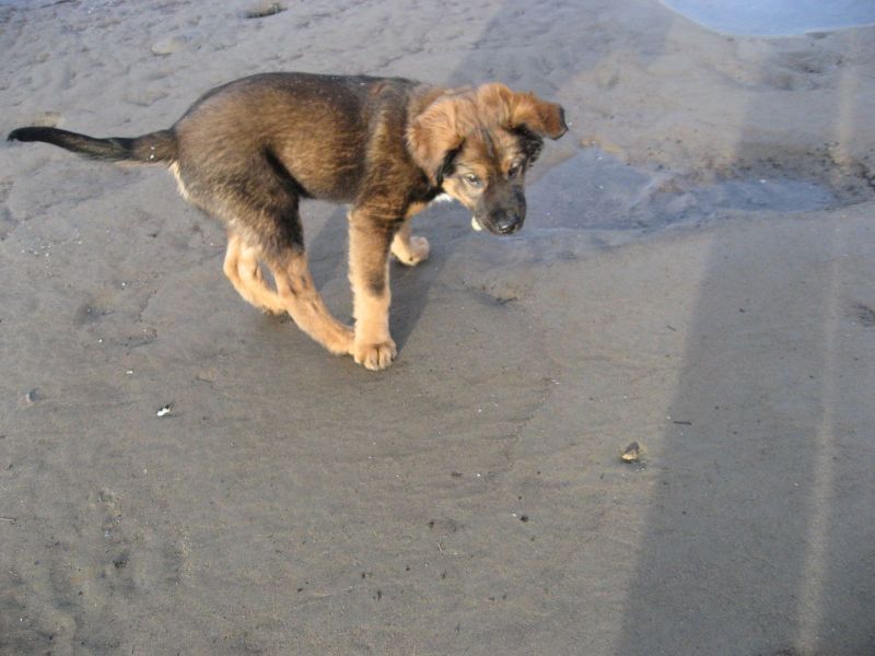 Djanco - ude og inde