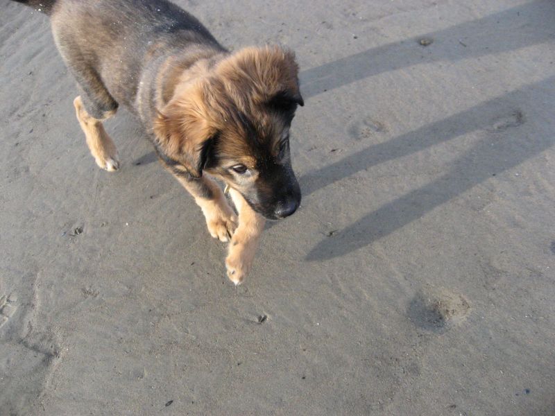 Djanco - ude og inde