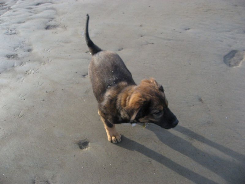 Djanco - ude og inde