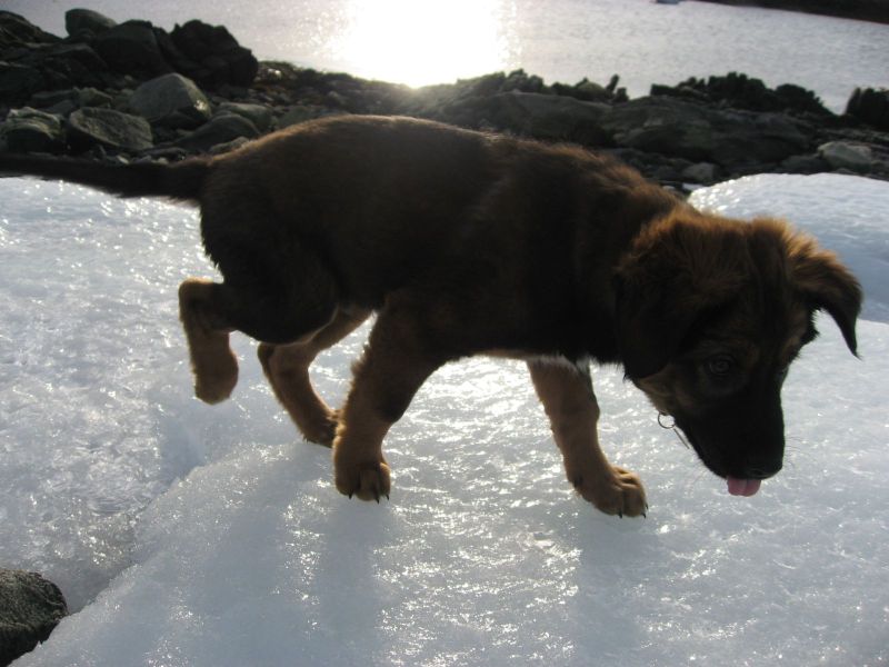 Djanco - ude og inde