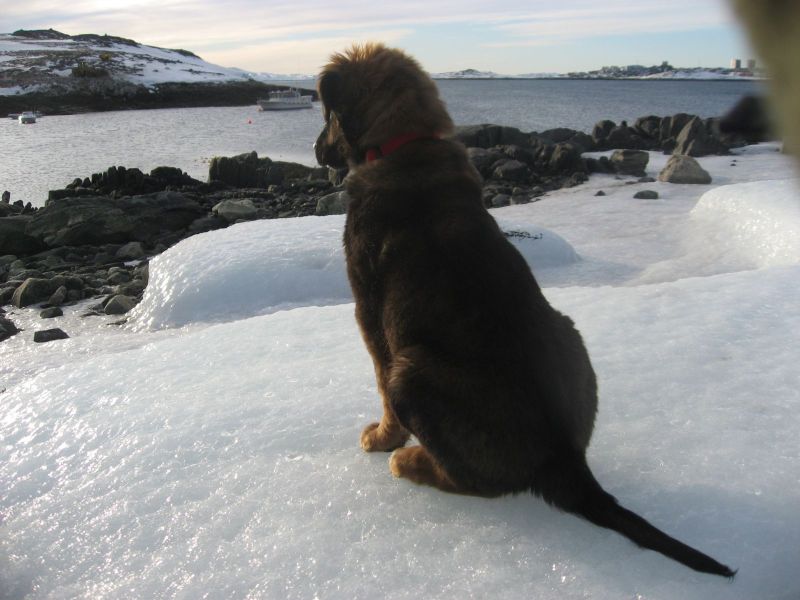 Djanco - ude og inde