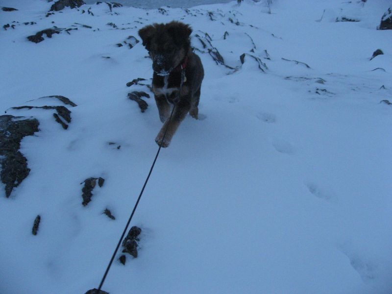 Djanco - ude og inde