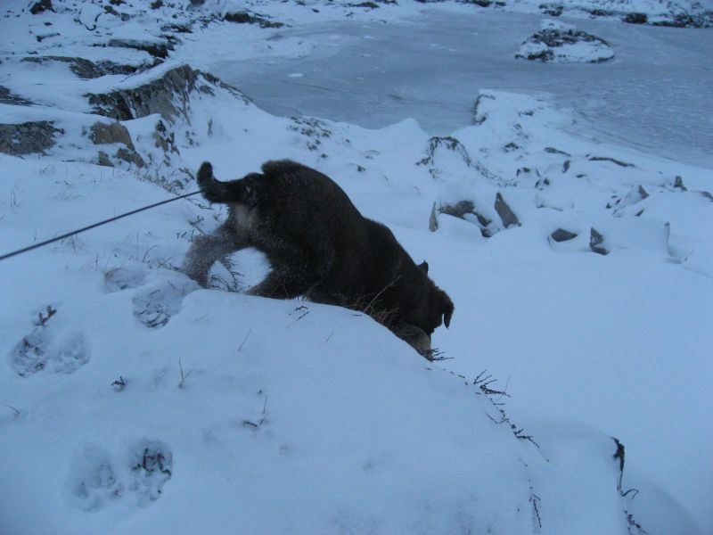 Djanco - ude og inde