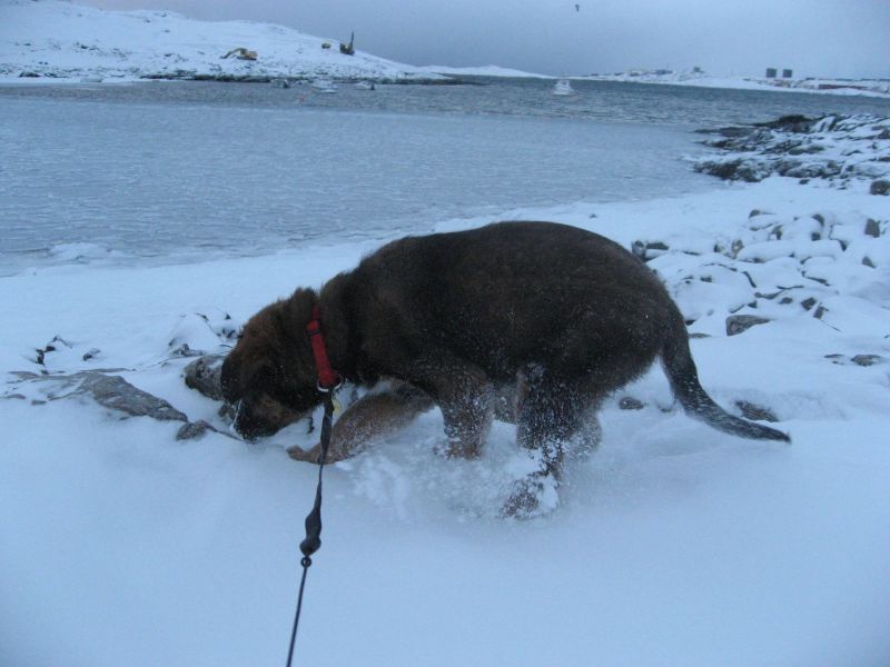 Djanco - ude og inde