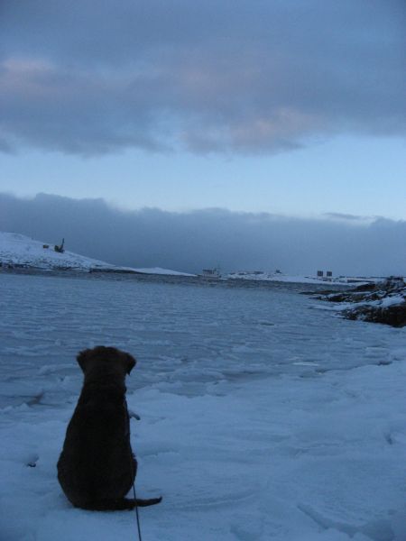 Djanco - ude og inde